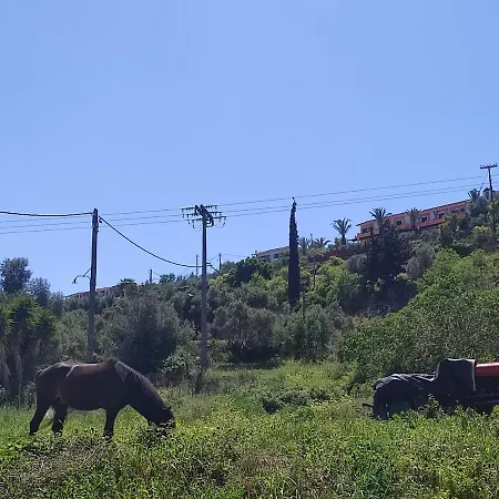 Lagadi 5 * Lassi (Kefalonia)